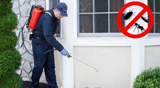 Savaştepe Haşere İlaçlama böcek ilaçlama ve haşere kontrolü — ilaclama-tr.com